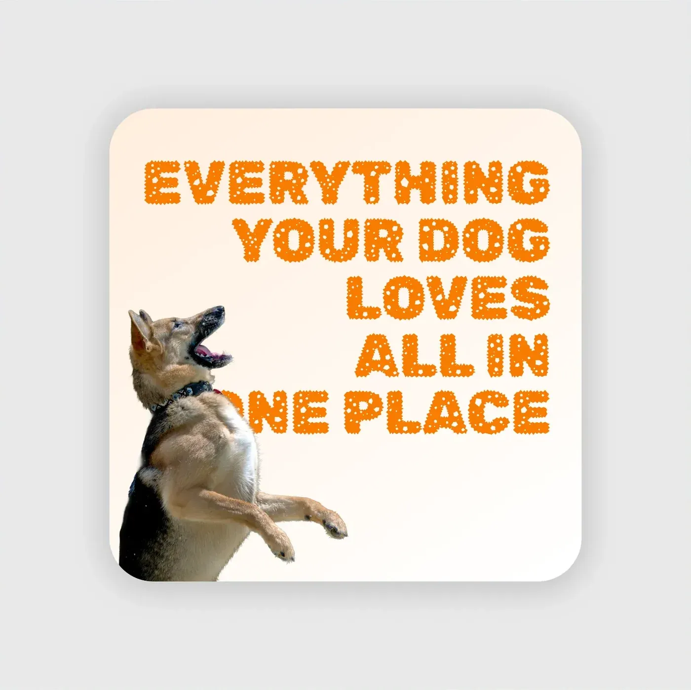 Everything your dog loves: Typographic poster