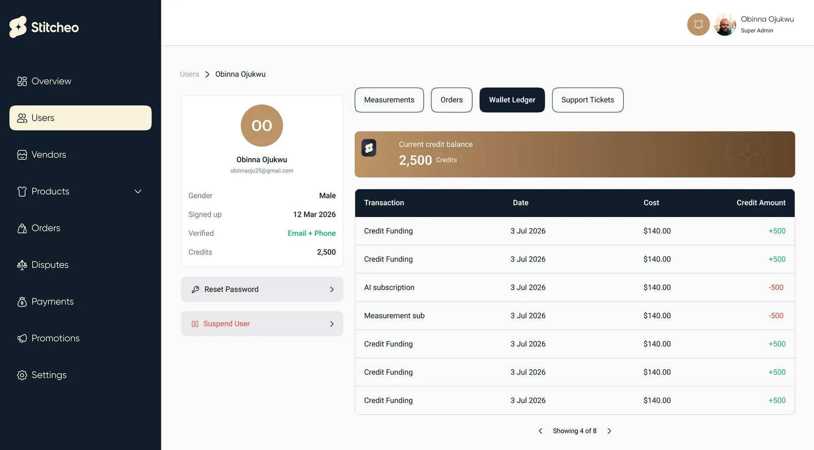 Customer wallet ledger with credit balance and each credit funding and AI subscription charge
